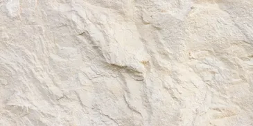 A close up of the side of a rock wall